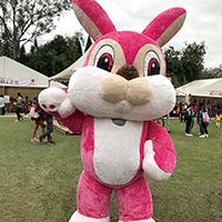 粉紅兔子 Pink Rabbit Mascot